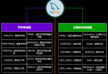  MySQL8 中最常用的字段类型及其推荐长度